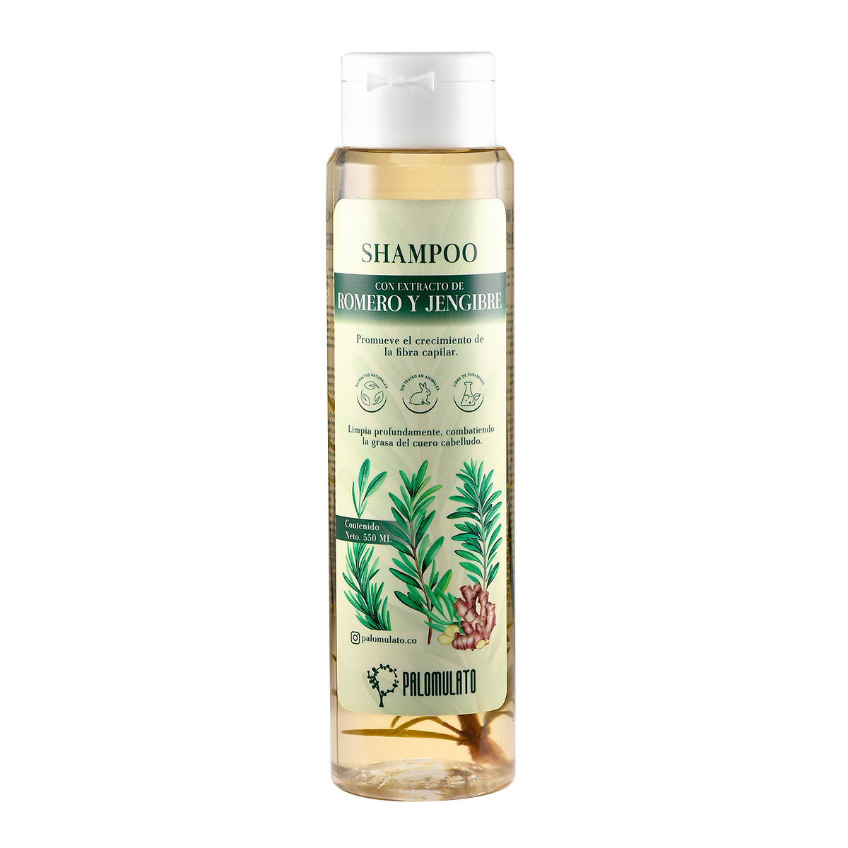 Shampoo